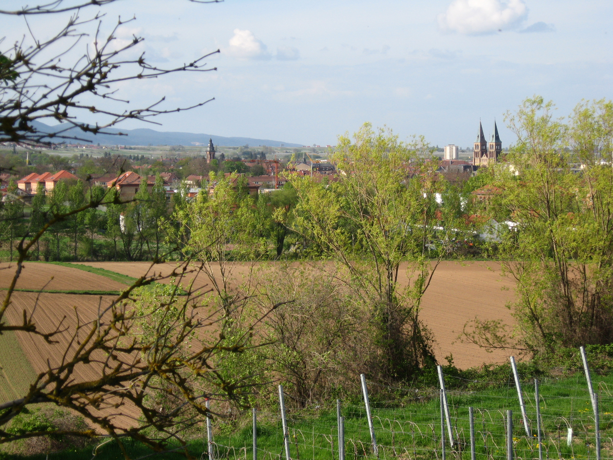 Landschaftlicher Blick auf Landau-Süd